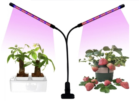 Tubo in acciaio flessibile a collo d'oca ODM LVD per luce di crescita per piante a clip a LED
